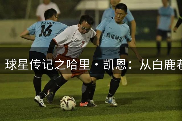 球星传记之哈里·凯恩：从白鹿巷到安联，数据揭示的进球密码